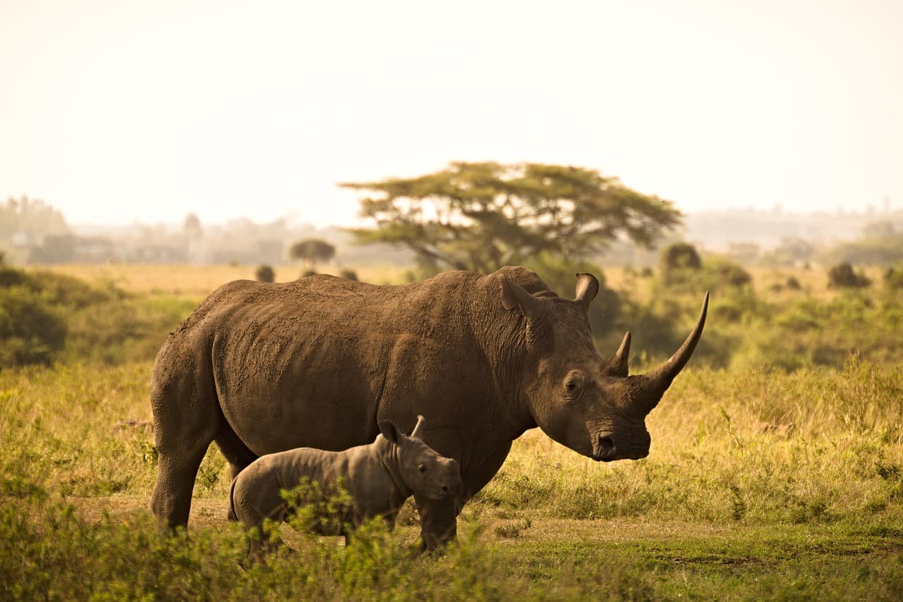 Nairobi, Kenya